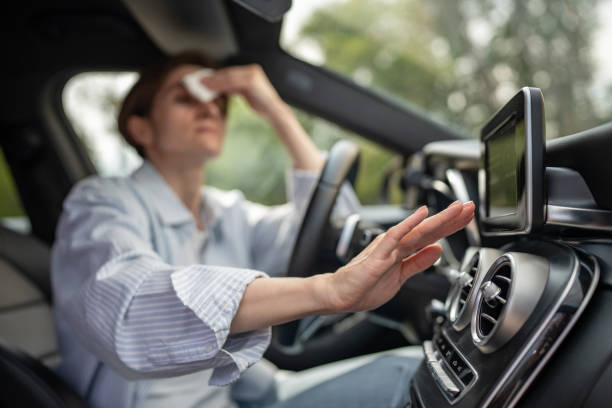 Best Air Conditioning Cleaning in Wyomissing, PA